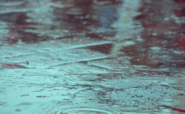 浙江梅雨继续发力南部暴雨 杭州局部雨势强气温不足30℃