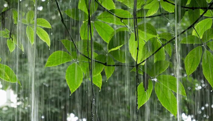 浙北较强降雨来袭 今杭州局部暴雨气温低迷